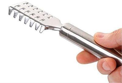 CRIYALE Stainless Steel Fish Scale Remover Scale Skin Cleaner Fish Scaler (pack of 1) Fish Scaler