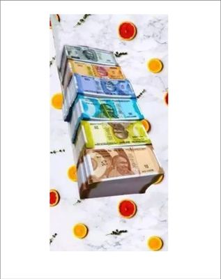 BBS DEAL Dummy Currency Notes Gag Toy with Activity Manual, 180 Notes