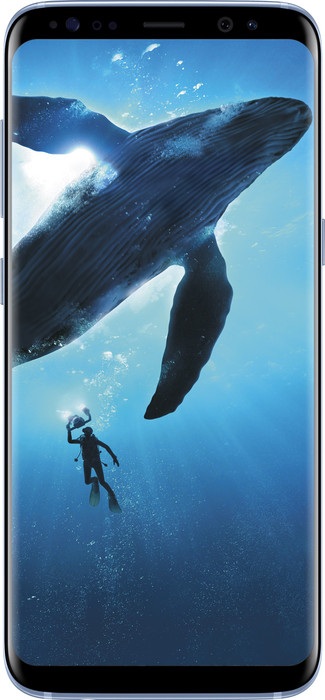 SAMSUNG Galaxy S8 Plus Coral Blue, 64 GB 4 GB RAM SAMSUNG Mobiles