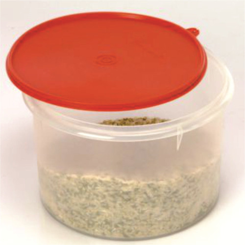 TUPPERWARE Super Storer M 3000 ml Plastic Grocery Container Clear, Red TUPPERWARE Kitchen Containers