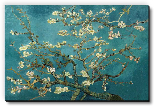 Seven Rays Turquoise Almond By Vincent Van Gogh Fridge Magnet Pack of 1 Multicolor Seven Rays Magnets