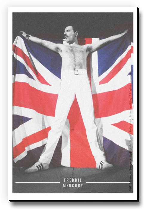 Bravado Freddie Mercury UK Flag Fridge Magnet, Door Magnet Pack of 1 Multicolor Bravado Magnets