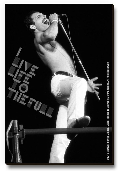 Bravado Freddie Mercury Live Life to The Full Fridge Magnet, Door Magnet Pack of 1 Multicolor Bravado Magnets