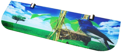 RoyaL Indian Craft Amazing Nature Printed 18 Inch Glass Wall Shelf Number of Shelves 1, Multicolor RoyaL Indian Craft Wall Shelves